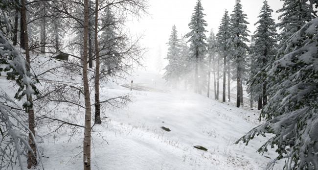Обои картинки фото природа, зима, дорога, снег, лес