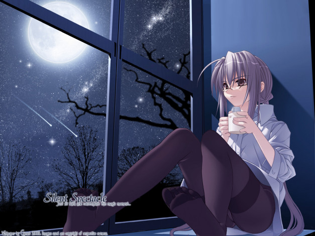 Обои картинки фото аниме, *unknown, другое, девушка, ночь, луна, полнолуние, звезды, окно, кружка, колготки, стекло, небо, рубашка