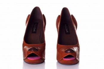 Картинка дизайнер коби леви разное одежда обувь текстиль экипировка туфли собачий коричневый