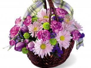 Картинка цветы букеты композиции тюльпаны ромашки корзина гвоздики