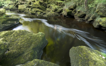 Картинка природа реки озера река мох камни