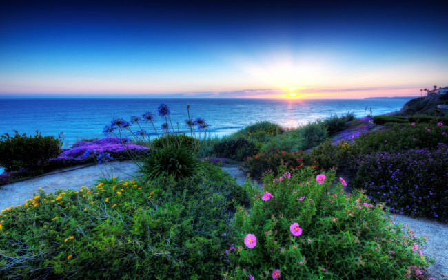 Обои картинки фото beach, природа, восходы, закаты, луг, цветы, берег