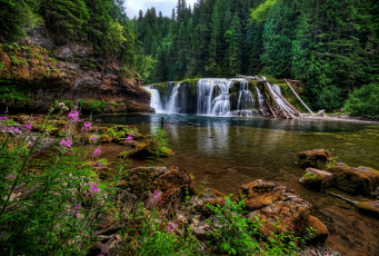 Картинка lower lewis river falls washington природа водопады река льюис лес камни цветы