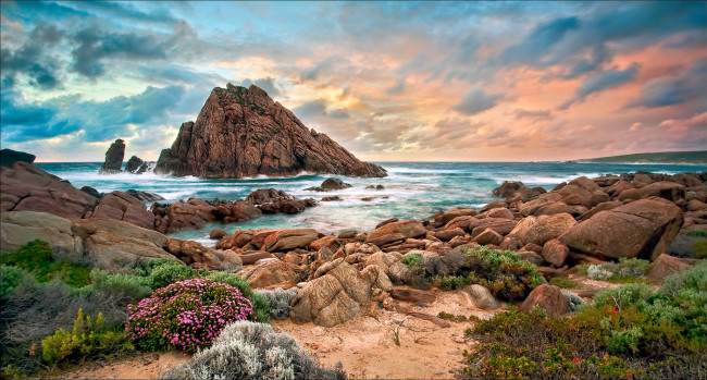 Обои картинки фото природа, побережье, тучи, горизонт, скала, берег, цветы, камни, океан