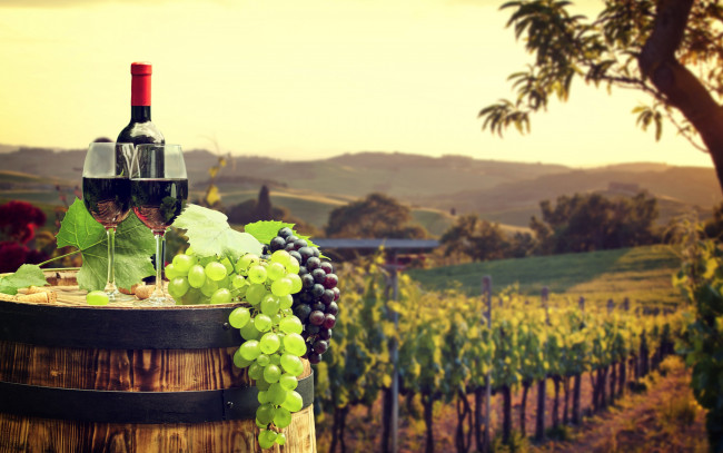 Обои картинки фото еда, напитки,  вино, вино, бочка, виноград