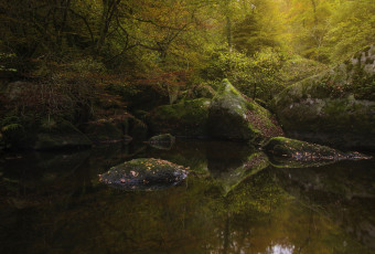 Картинка природа реки озера деревья вода лес осень