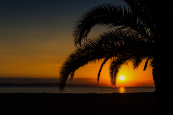 Картинка природа восходы закаты закат лето красота пальмы море