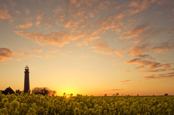 Картинка природа маяки маяк закат цветы облака поле