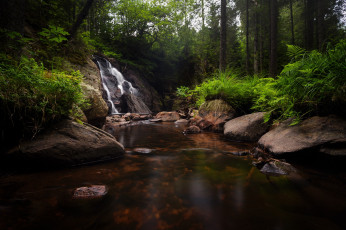 Картинка природа водопады речка водопад камни лес деревья