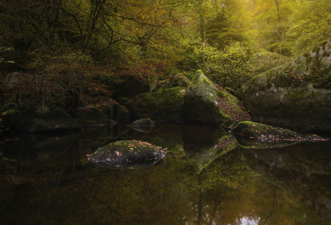 Обои картинки фото природа, реки, озера, деревья, вода, лес, осень