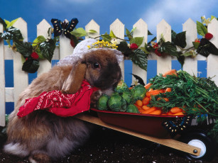 Картинка green thumb животные кролики зайцы