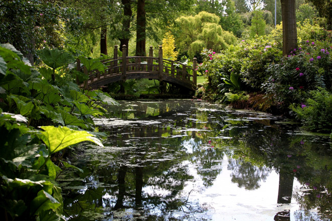 Обои картинки фото бирмингемский, ботанический, сад, англия, природа, парк, пруд, деревья, мост