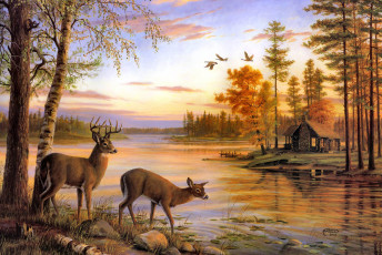 обоя quiet, evening, рисованные, mary, pettis, осень, олени, озеро