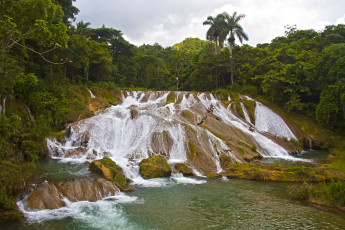 обоя cascadas, de, el, nicho, куба, природа, водопады, обрыв, лес, водопад
