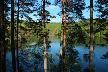 Картинка семиозерье карельский перешеек природа реки озера берег лес озеро