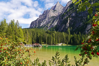 Картинка италия брайес природа реки озера ели лес горы озеро
