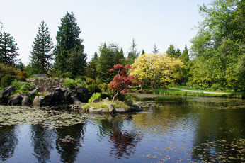 Картинка vandusen botanical garden vancouver канада природа парк цветы деревья сад клумба пруд