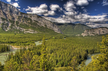 Картинка banff national park alberta canada природа горы лес ручьи