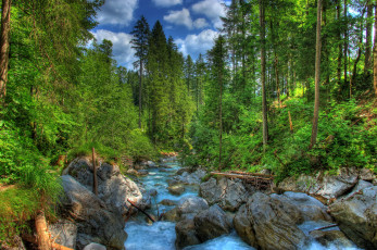 Картинка германия бавария рамзау природа лес ручей деревья
