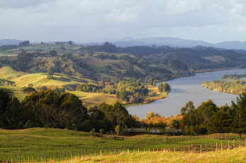 Картинка waikato river новая зеландия природа реки озера деревья панорама река