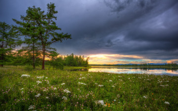 Картинка природа луга луг трава озеро тучи деревья цветы