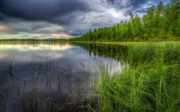 Картинка природа реки озера озеро лес тучи трава
