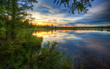 Картинка природа восходы закаты озеро лес трава тина тучи рассвет солнце