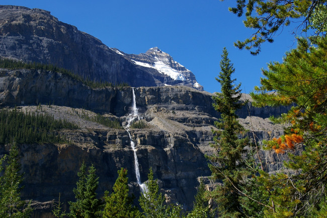 Обои картинки фото mt, robson, provincial, park, канада, природа, горы, парк, лес