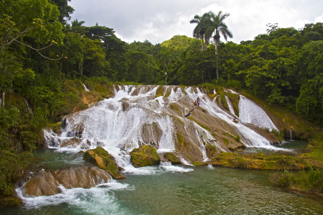 Обои картинки фото cascadas, de, el, nicho, куба, природа, водопады, обрыв, лес, водопад