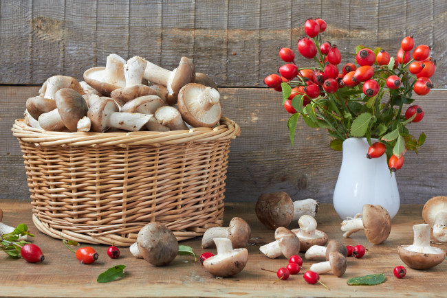 Обои картинки фото еда, грибы, грибные, блюда, шиповник, боярышник, корзина