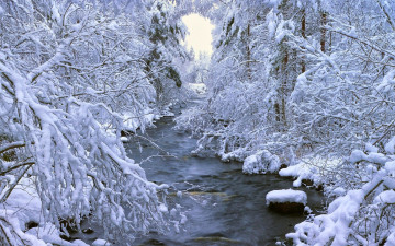 Картинка природа реки озера деревья снег