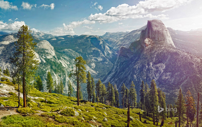 Обои картинки фото природа, горы, сша, калифорния, снег, yosemite, national, park, деревья