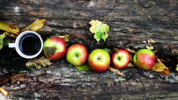 Картинка еда разное кофе листья осень яблоки