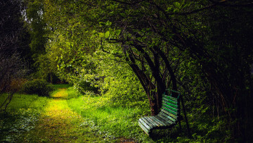 Картинка природа парк скамейка деревья аллея