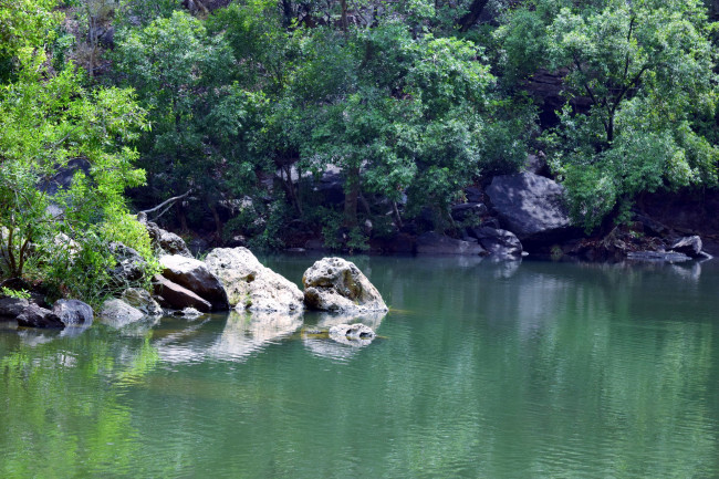 Обои картинки фото природа, реки, озера, деревья, река, камни