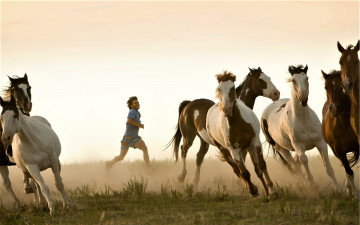 Картинка кино+фильмы into+the+wild мужчина лошади табун