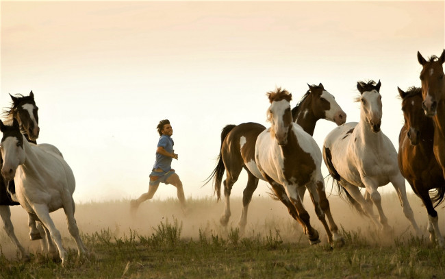 Обои картинки фото кино фильмы, into the wild, мужчина, лошади, табун