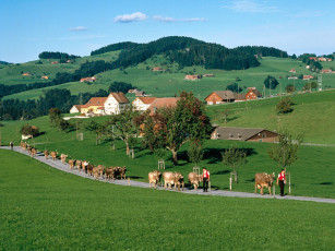 Картинка appenzell switzerland города