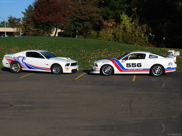 Обои картинки фото ford, mustang, fr500cj, cobra, jet, 2008, автомобили