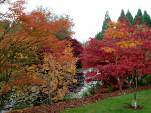 Картинка vandusen botanical garden vancouver канада природа парк растения река тропинка