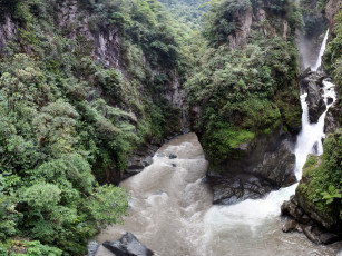 Картинка водопад pailondel diablo эквадор природа водопады лес