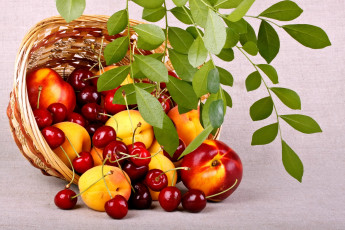 обоя еда, фрукты, ягоды, вишня, персики, корзина, лето