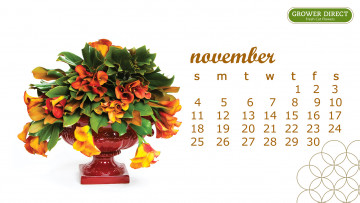 обоя календари, цветы, букет, каллы