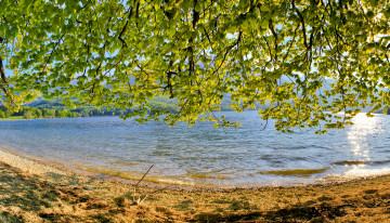 Картинка словения bohinj lake природа реки озера