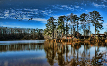 Картинка природа реки озера озеро деревья домик покой