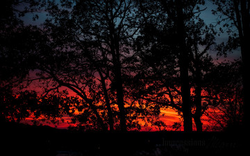 Картинка природа восходы закаты вечер закат облака деревья