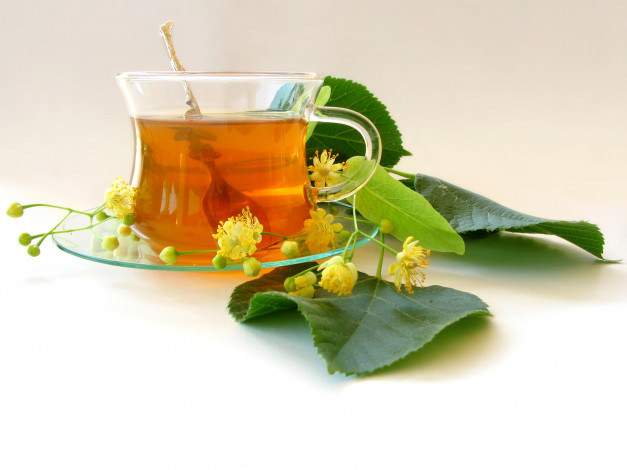 Обои картинки фото Чай, липовым, цветом, еда, напитки, липа, листья, ветка, ложка, блюдце, чашка, чай
