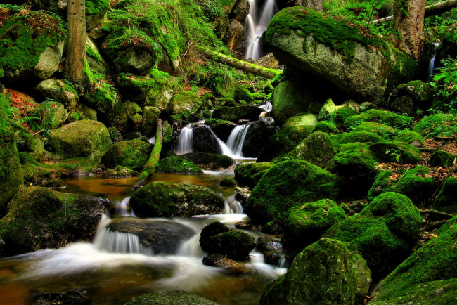Обои картинки фото австрия, исперталь, природа, водопады, водопад, лес