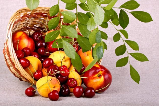 Обои картинки фото еда, фрукты, ягоды, вишня, персики, корзина, лето