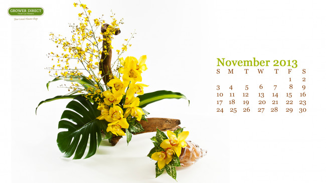 Обои картинки фото календари, цветы, орхидеи